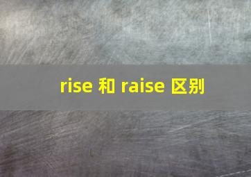 rise 和 raise 区别